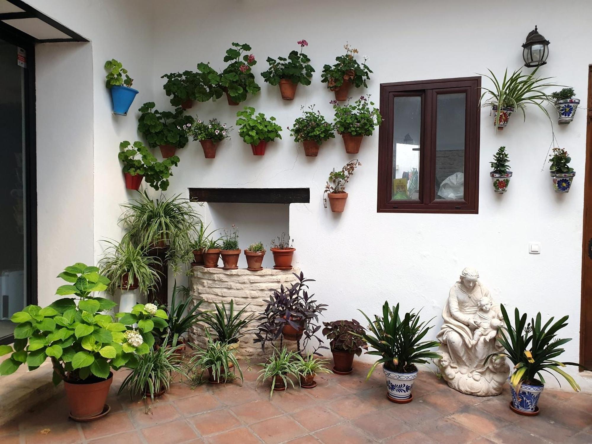 Entre patios y flores Córdoba Exterior foto