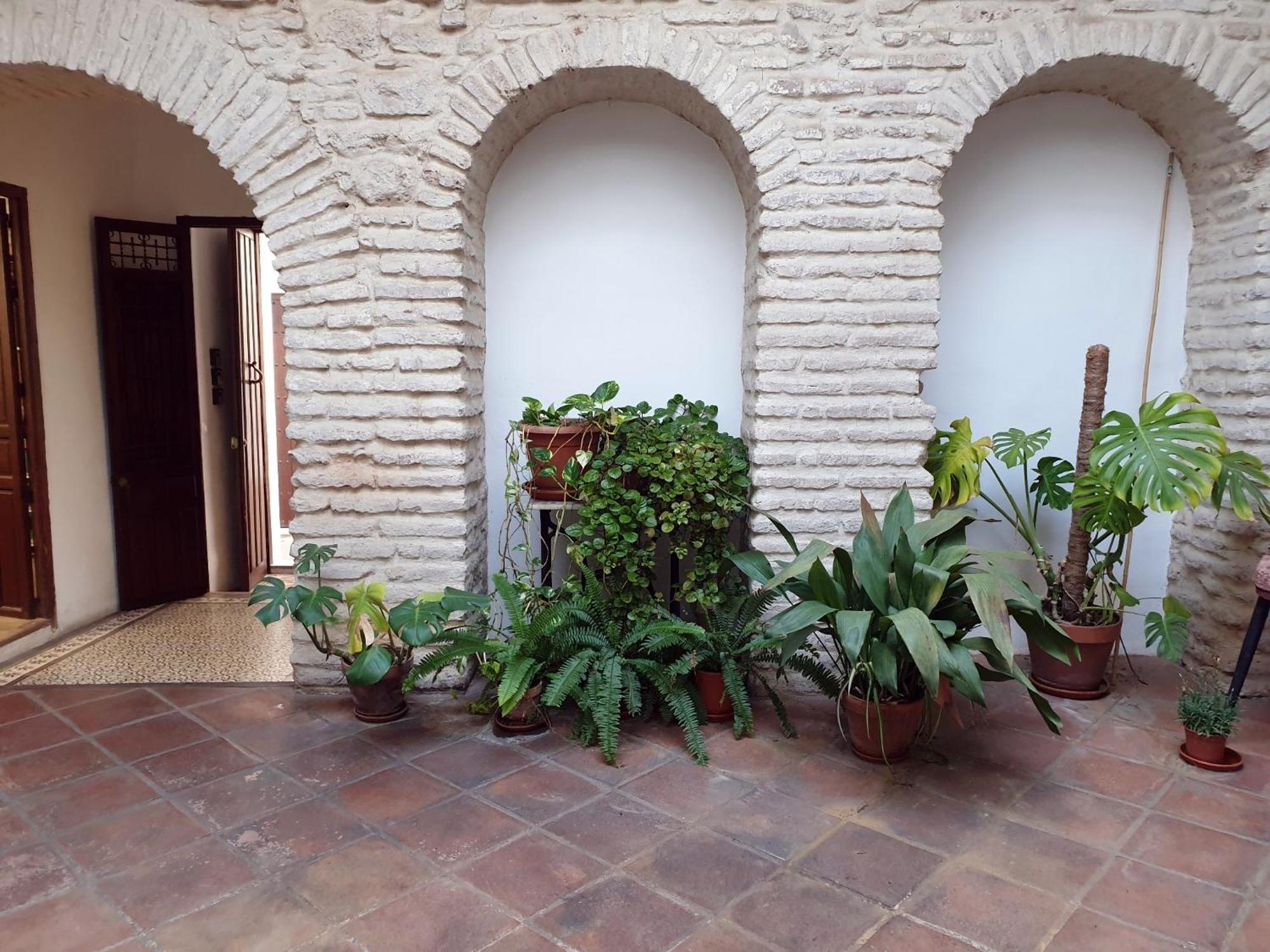 Entre patios y flores Córdoba Exterior foto